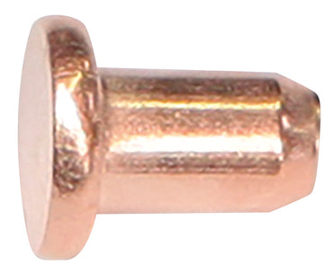 100 RIVETS Ø3 x 4.5